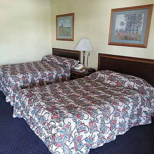 Red Roof Inn Redding Chambre photo